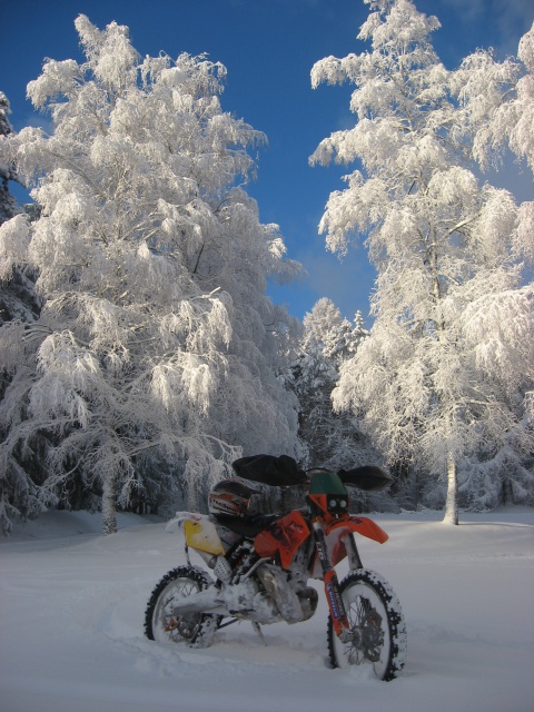 Bonne année 2015 à toutes et à tous sans oublier nos oranges 228878neige20102011ktmpetitesuisse5