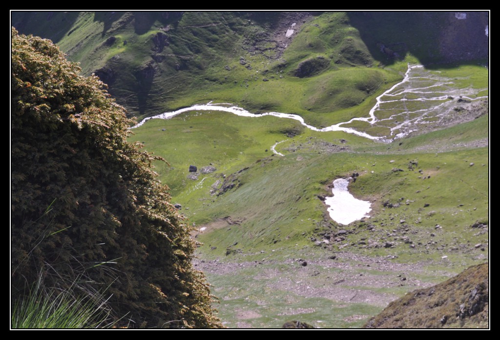 Une vie pyrénéenne de labrit des pyrénées - Page 6 235144jar0637