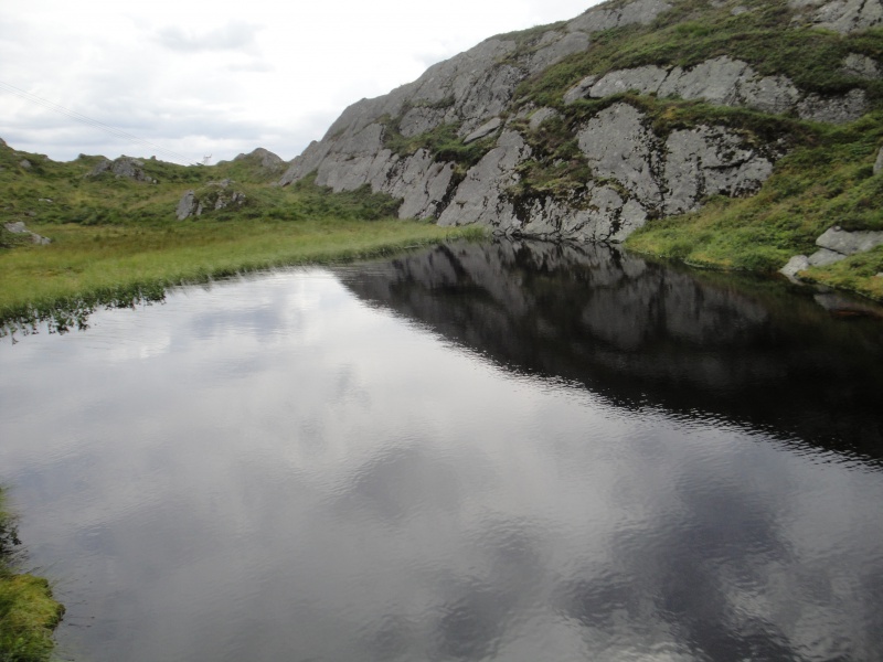 Quelques D. rotundifolia in situ en Norvège 243795DSC09754