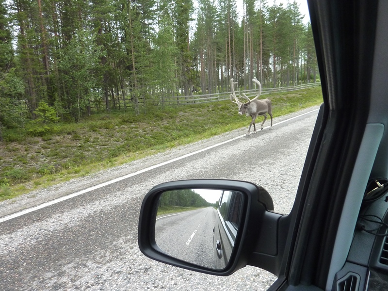 GRAND TOUR DE LA SCANDINAVIE EN 60 JOURS ET 12000 KMS FINLANDE 244997P1130149