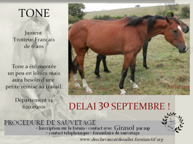 (dept 14) Tone trotteuse 6 ans (délai 30/09) 248169TONE