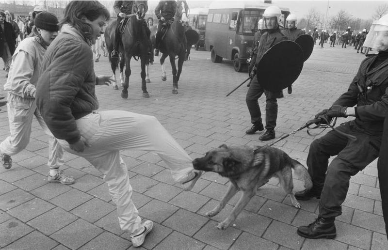 Saison 86/87 249571FeyenoordDenHaagin1987FeyenoordfanstruggleswithPolicedog