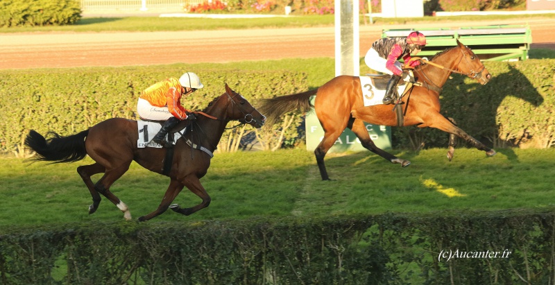 Photos Enghien 22-10-2016 Grand Steeple - Page 2 2552175J6A9870