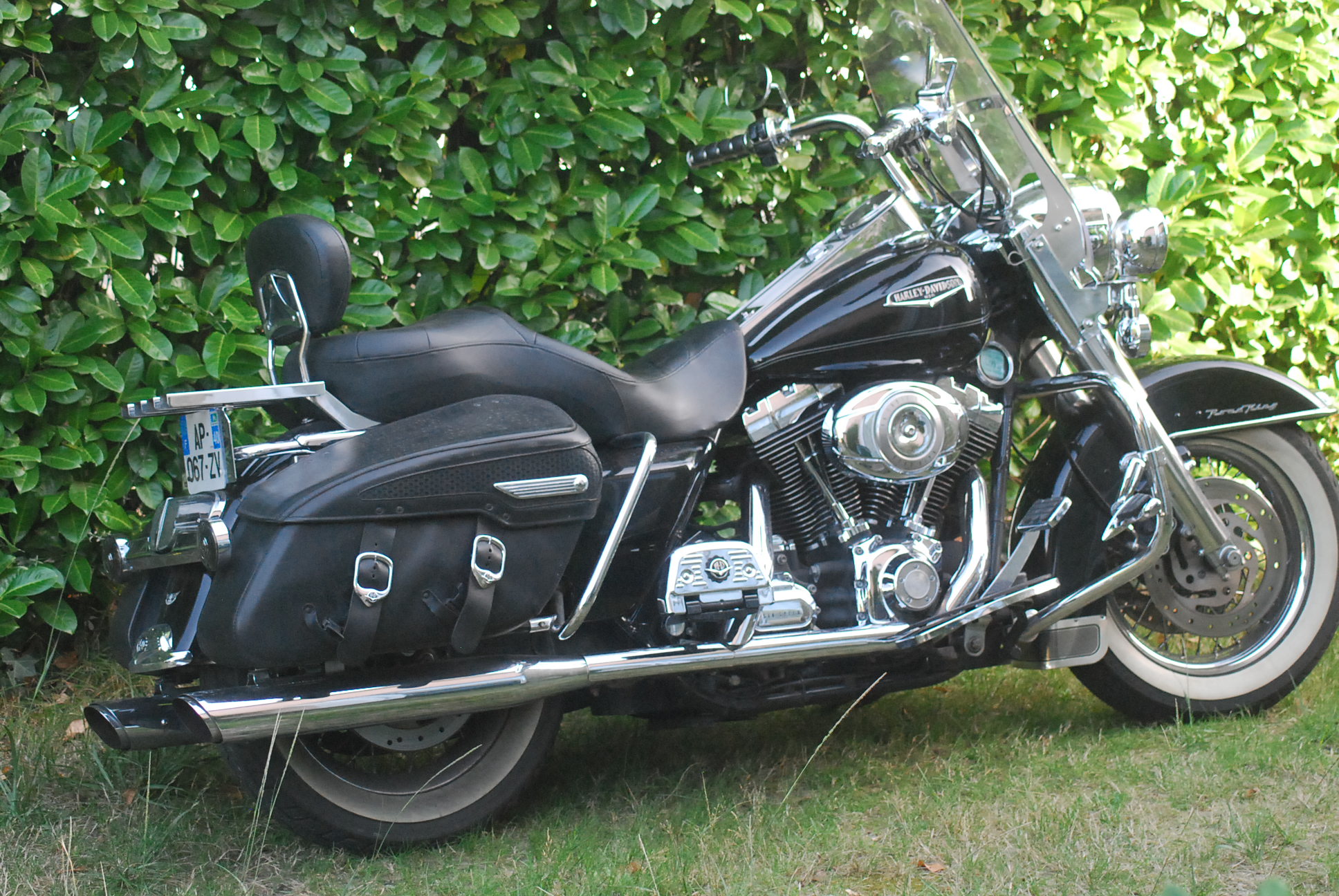 Choix d'un Road king 259721DSC0878