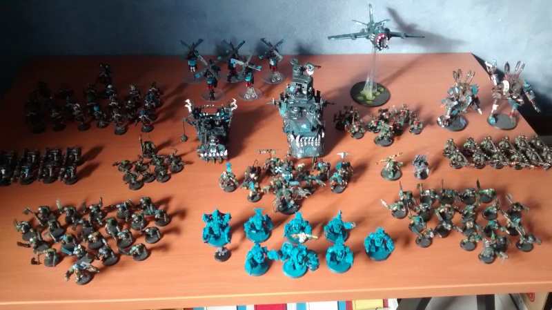 La Waaagh Celtik !!! 261542IMG20141120133621251