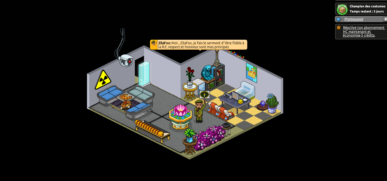 [C.M] C.V de ZilaFox - Page 2 272513Habbocandidature