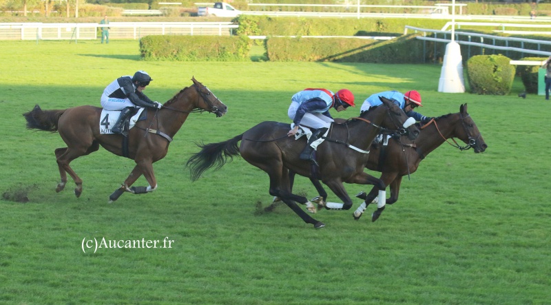 Photos Auteuil 9-10-2016 2774405J6A8247