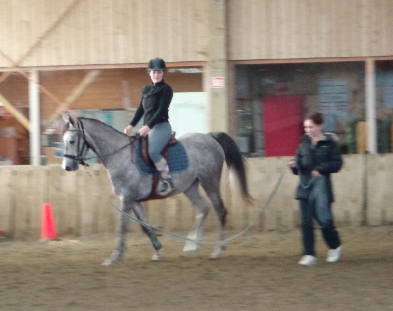 Victoire de Préjeurin, pouliche arabe-barbe / VENDUE 279354DSC017041