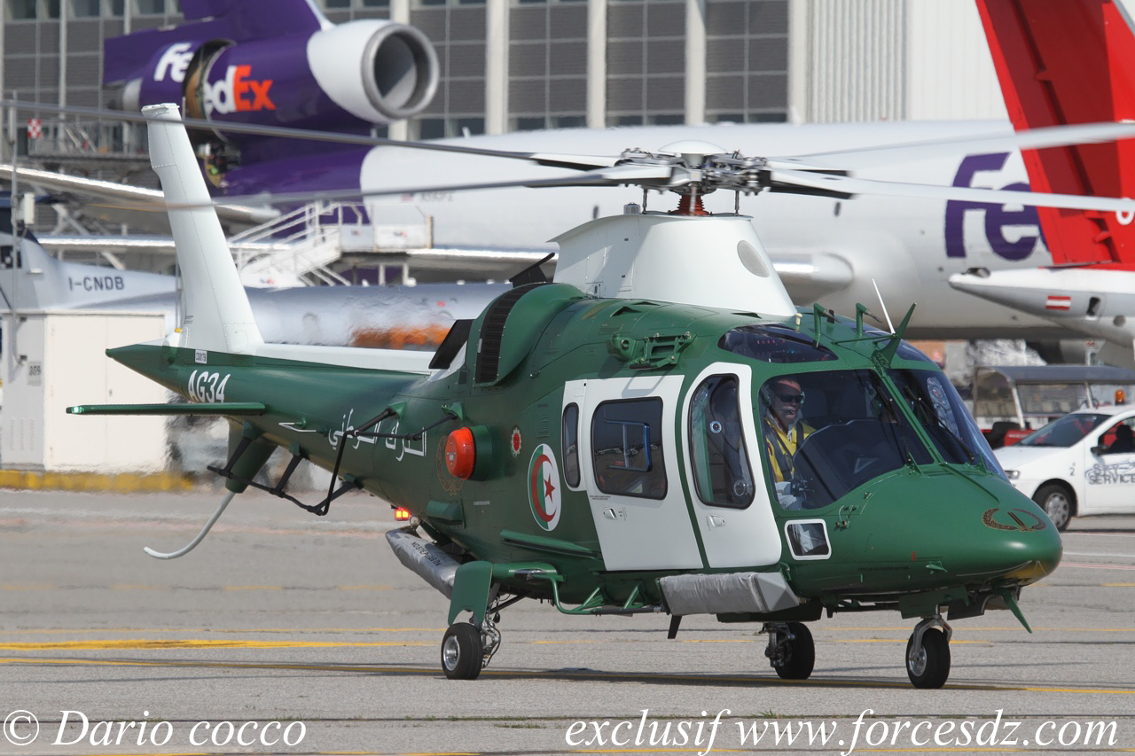 صور لمروحية AgustaWestland AW109LUH  التي يستخدمها الدرك الوطني الجزائري    284185AG3401