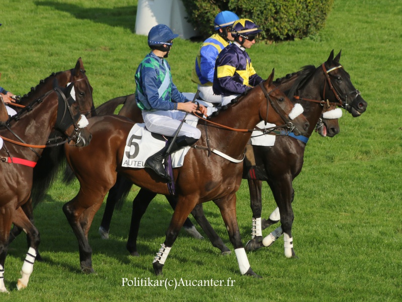 Photos Auteuil 9-10-2016 2851465J6A8010