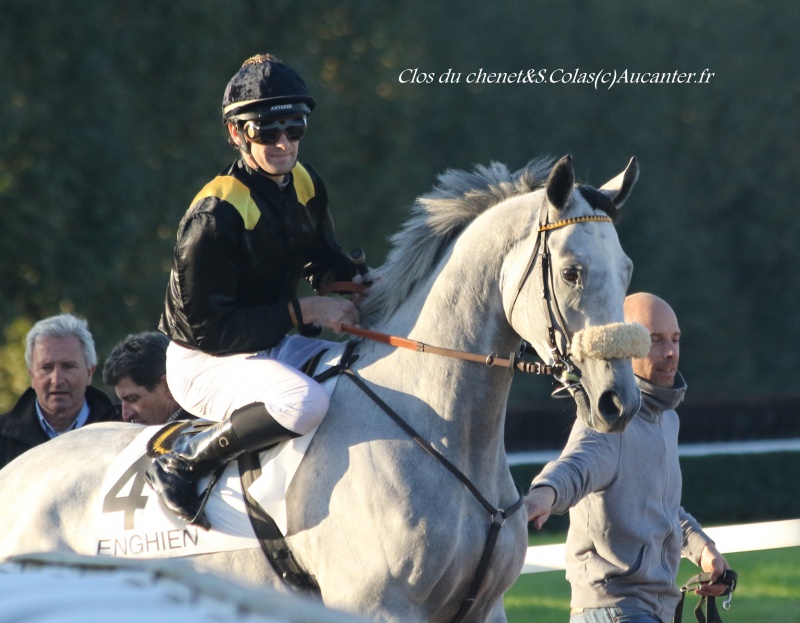 Photos Enghien 22-10-2016 Grand Steeple - Page 2 2852275J6A9823