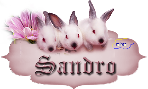 Nombres con S 2917632Sandro