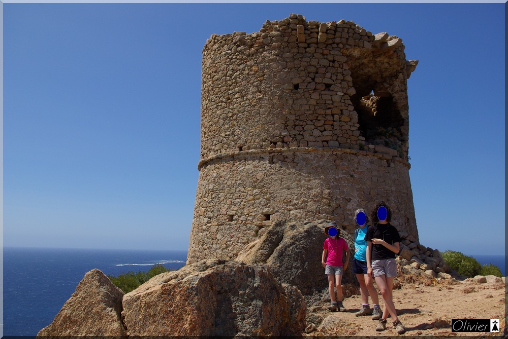 Les Tours Génoises du littoral Corse - Page 2 293191IMGP1734