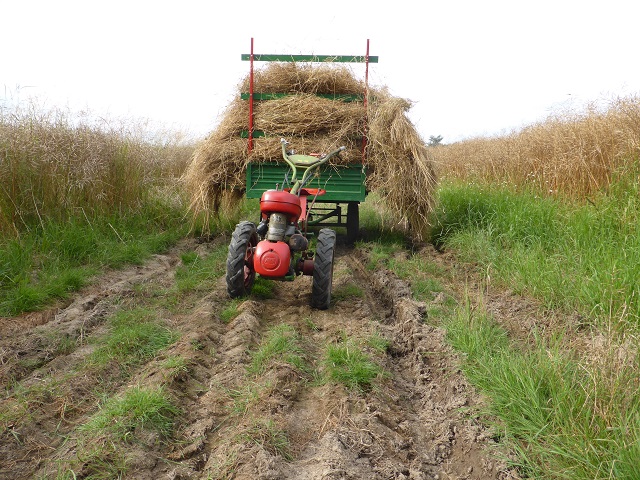 Que transportez-vous avec vos machines? 294975foinrem5