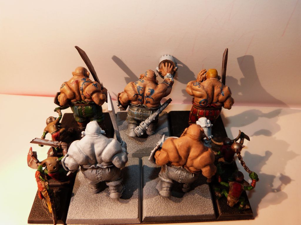 [KoW] Ogres Celtiques! - Page 2 295331P1010871