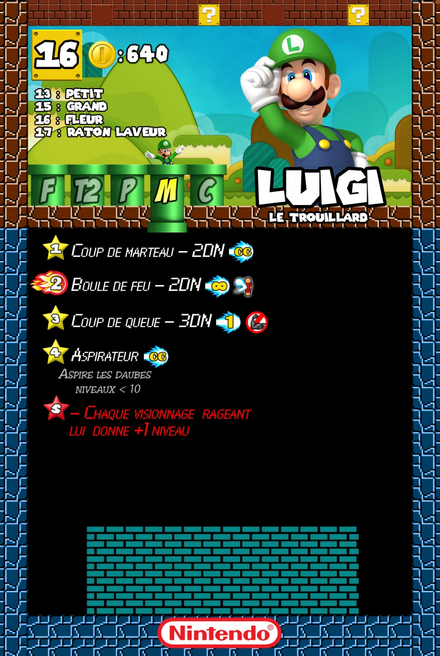 Fiches Super Mario Bros 29901900SFFicheviergecopie