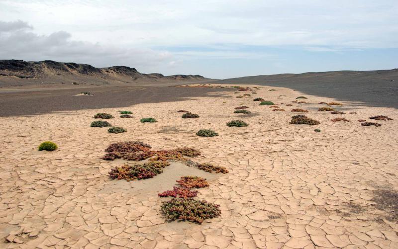 Invitation au voyage : La Namibie 300800conolonguevue