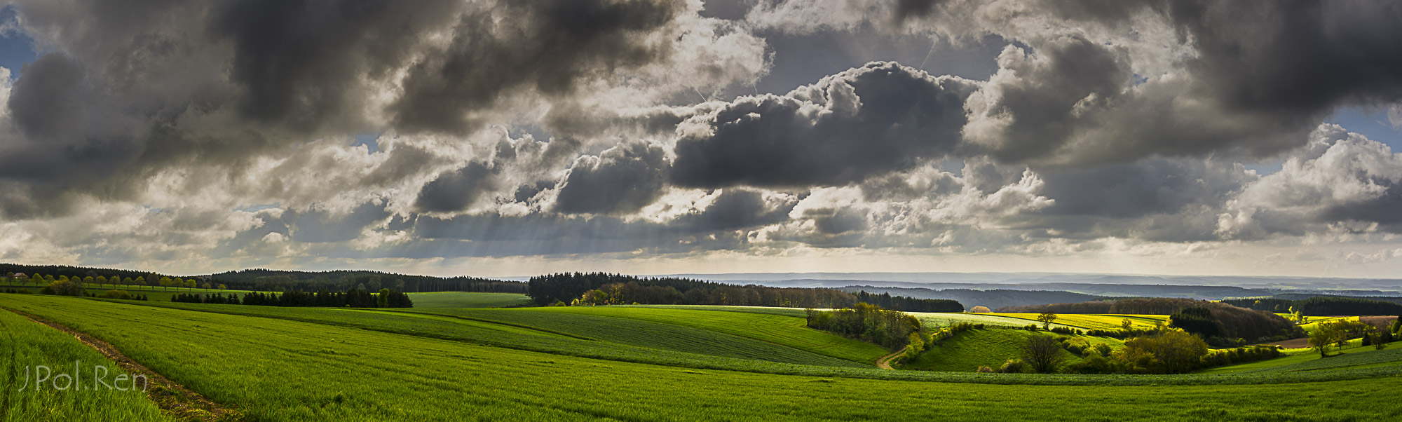 Vert et frais! 303085DSC5490Panorama2