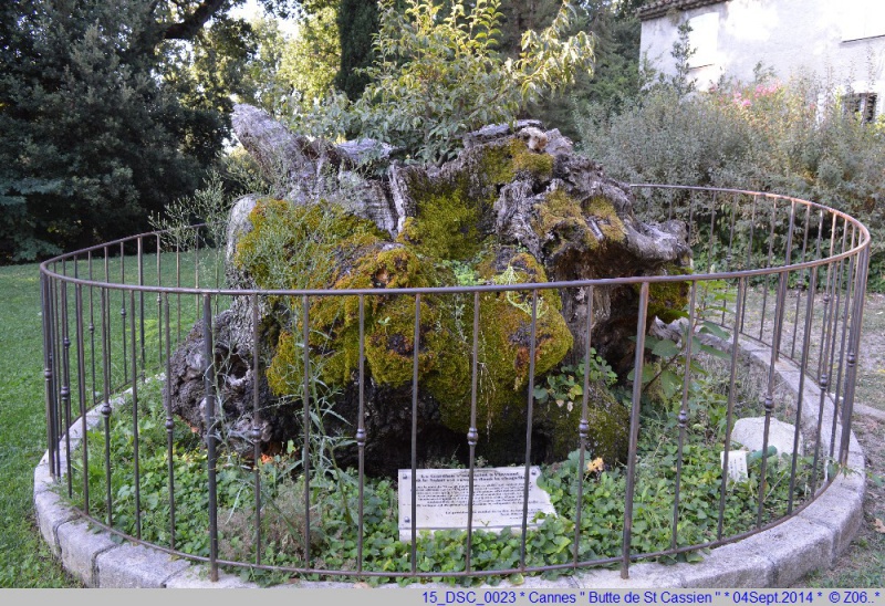 Cannes (06) La Butte de Saint Cassien... 30514615DSC0023