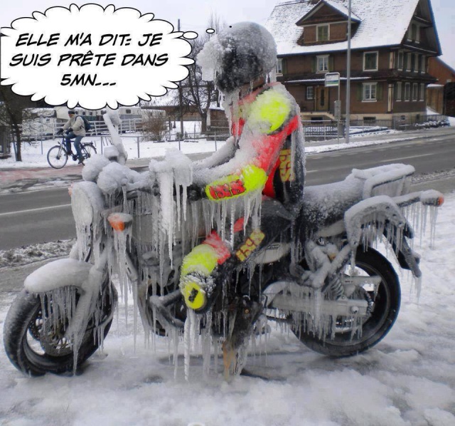 Humour en image du Forum Passion-Harley  ... - Page 10 306725motardgel