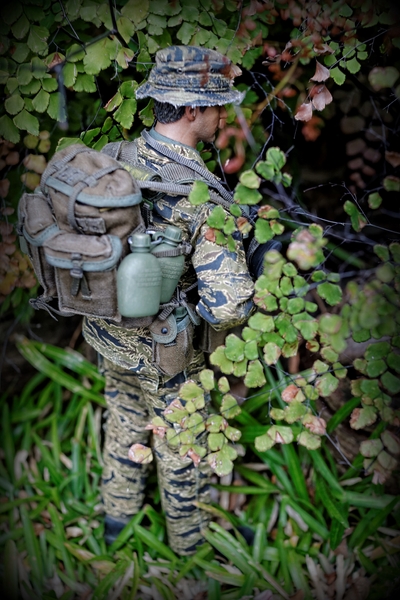 MEMBER OF LRRPs - VIETNAM - 1967 306852IMG9328800x600