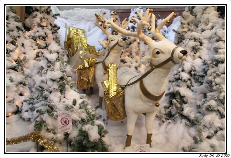 Quelques idées de décoration pour Noël ! 307418IMG0025borderjpg