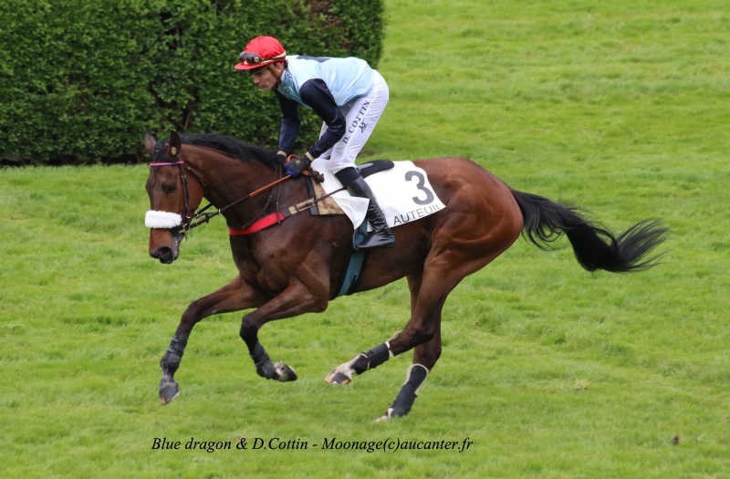 Photos Auteuil 30-04-2016 - Page 2 3108535J6A0591