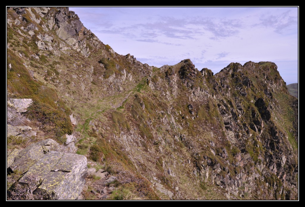 Une vie pyrénéenne de labrit des pyrénées - Page 6 312105jar0636