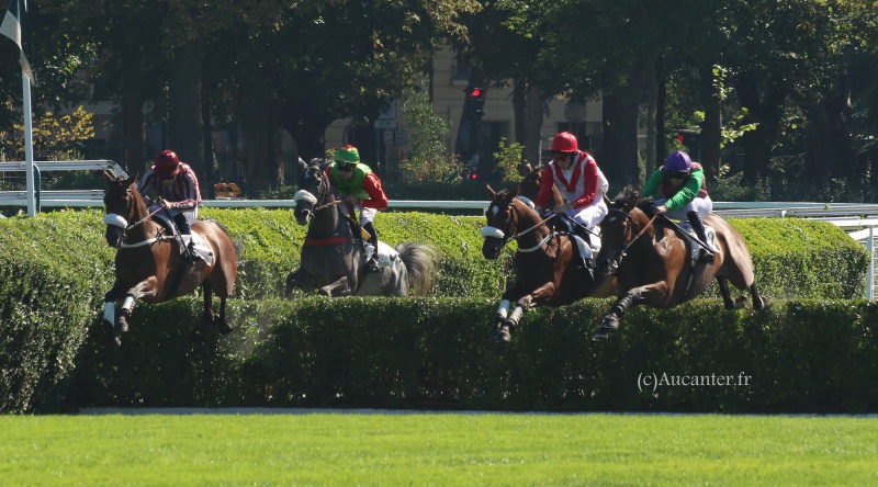 Photos Auteuil 24-09-2016 3126145J6A6858