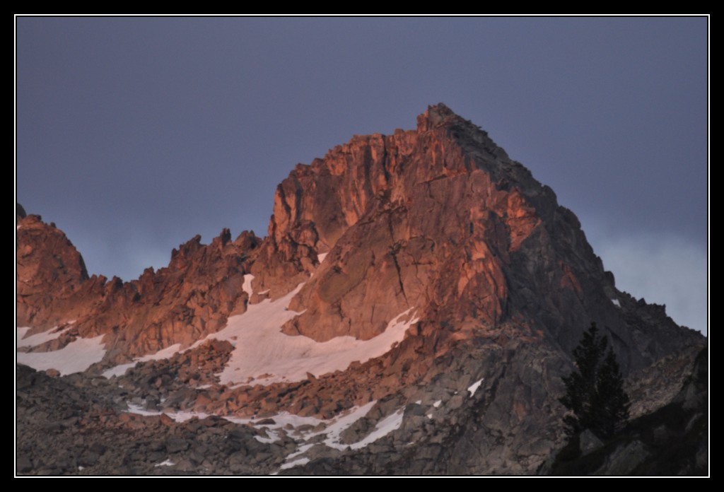 Une vie pyrénéenne de labrit des pyrénées - Page 6 315296mad0204