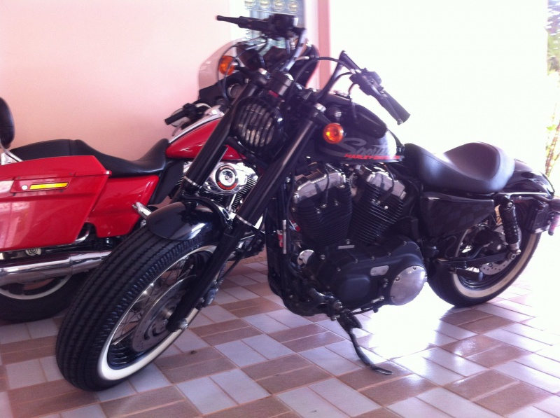 combien sommes nous en 1200 Sportster sur Passion-Harley - Page 24 315352105153392816061353756967426995224983645584o