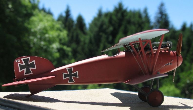 Albatros D III  Eduard 1/48 319533IMG0042