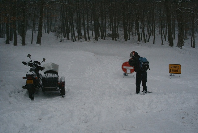 Photos de la bête des neiges... 31983476a2