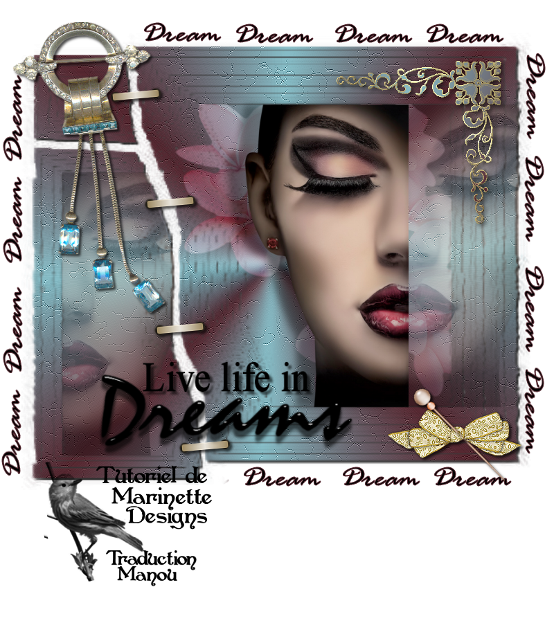 LIVE LIFE IN DREAMS 319862Image8