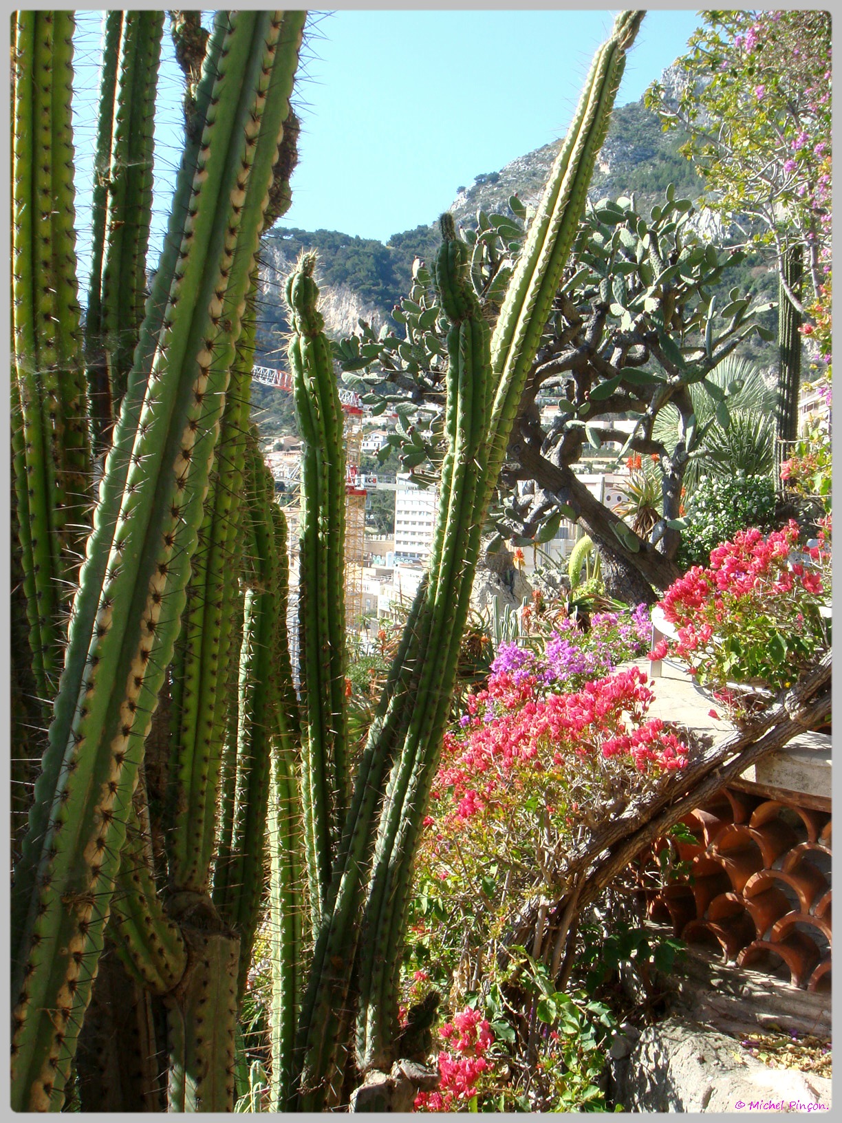 Ballade à Monte-Carlo, Monaco et environs.  - Page 2 320671DSC012207