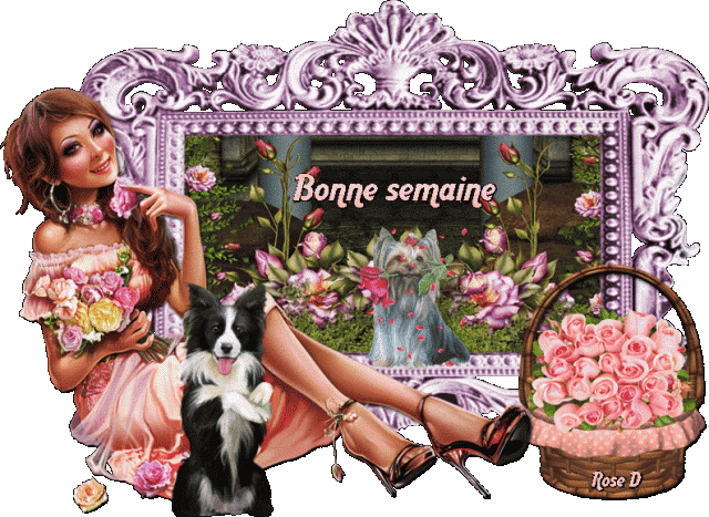 Bonjour, bonsoir..... - Page 14 329154f439a8e2