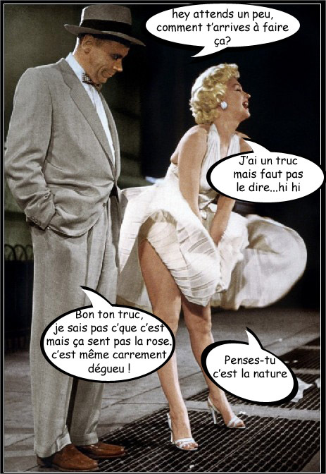 HUMOUR - blagues - Page 4 338400marilyncopie