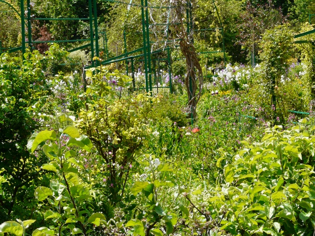 Visite de la maison de Claude MONET a Giverny(27) 340414067