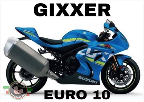 Gsx-r 1000 & Gsx-r 1000 R 2017 - Page 3 342203gex10002017