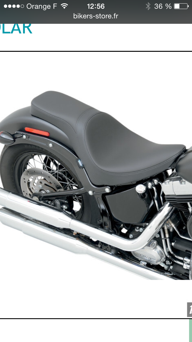 SOFTAIL SLIM... les accros de la Slim attitude !! - Page 24 348113photo