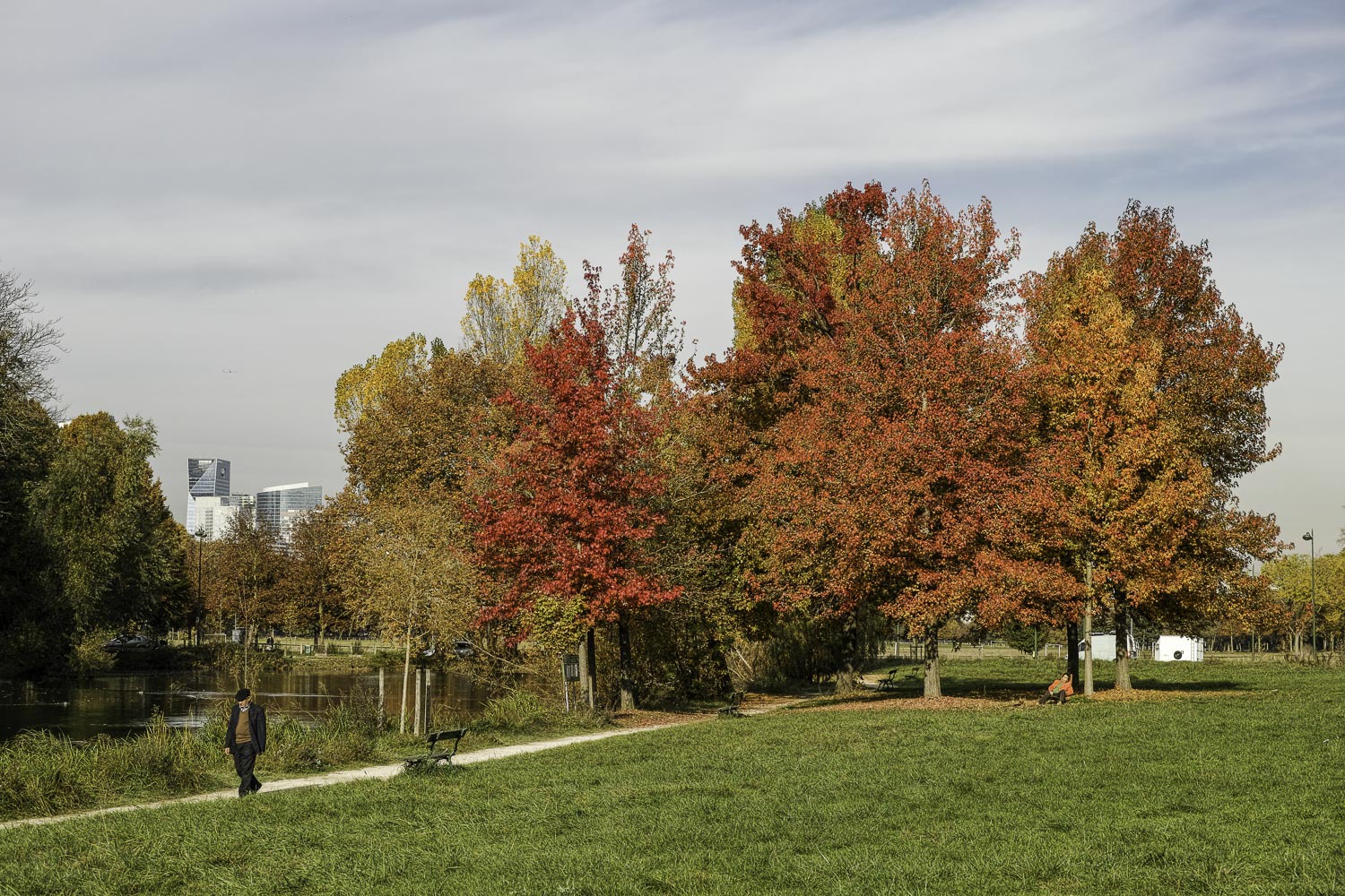 L'automne au bois (suite maj du 18/11) 349456DP3M6004