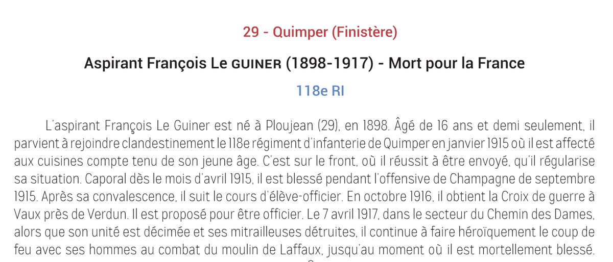 [Histoires et histoires] 100 villes, 100 héros, 100 drapeaux. Hommage national en ce 6 septembre 2014 3495833etsonhrosatdsign