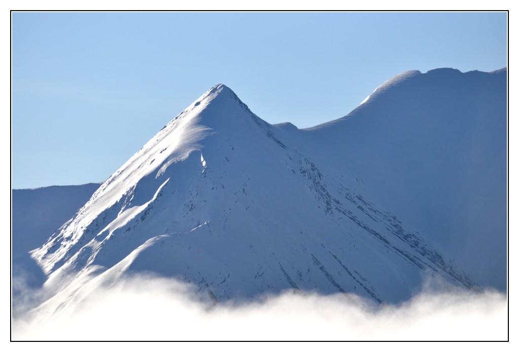 Une vie pyrénéenne de labrit des pyrénées - Page 3 351515sou0129