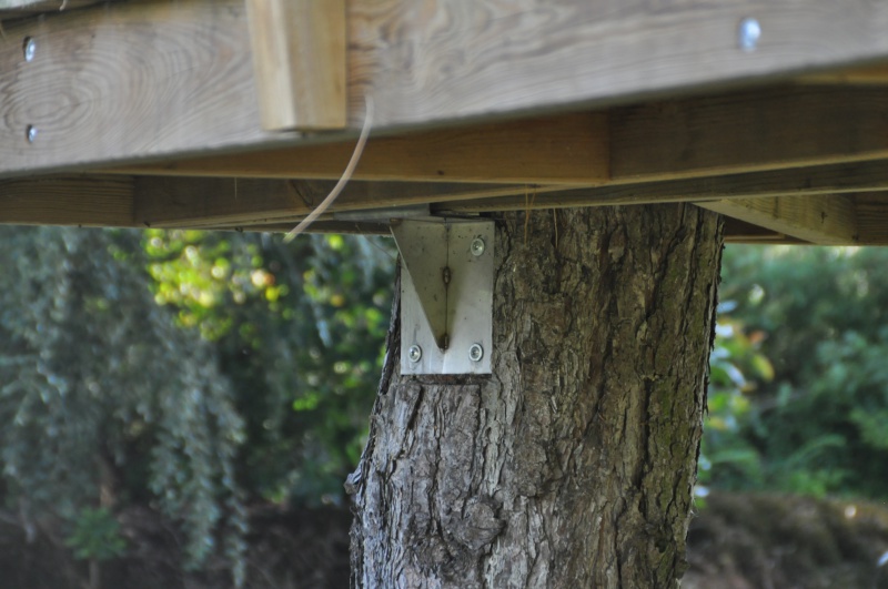 Projet de toboggant pour la cabane dans les arbres de mon fils, vos idées? - Page 3 351808Cabane17