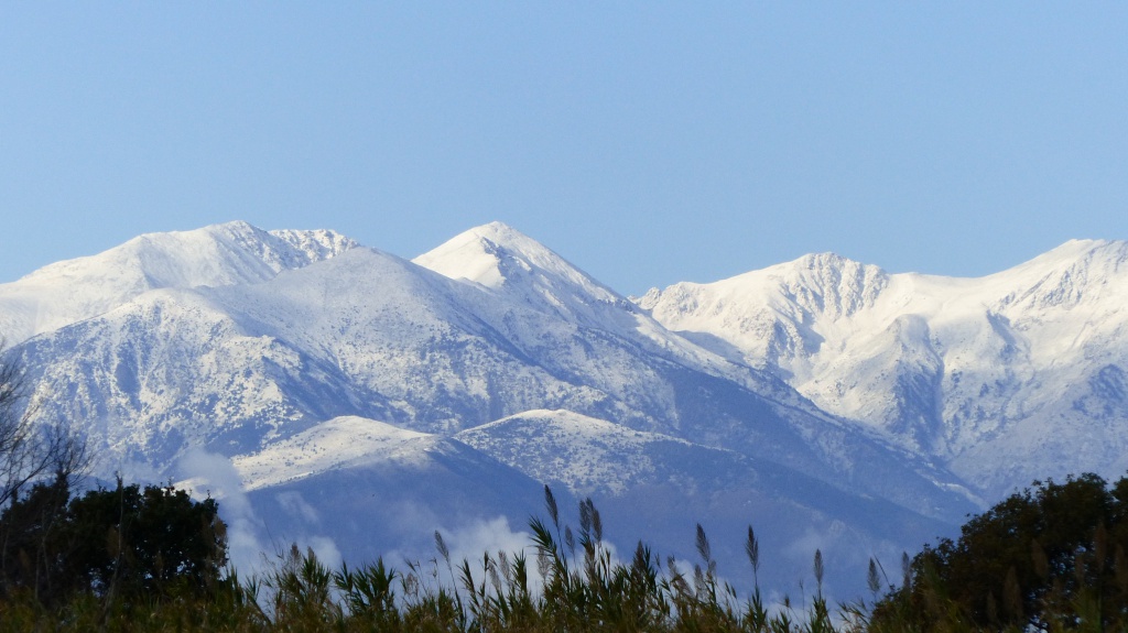 Canigou, sa première neige 356023canigou5