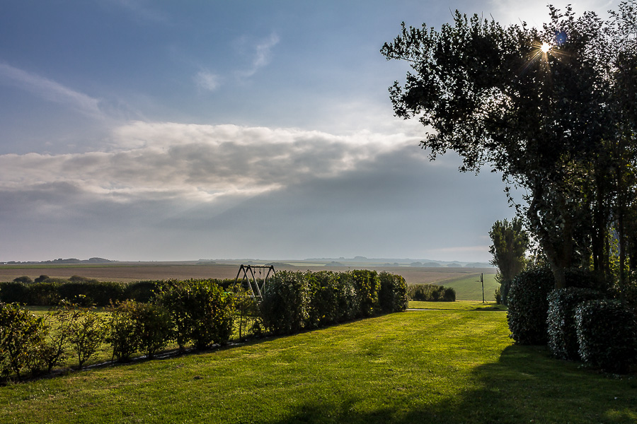 Coup de solel sur le jardin (RAW ) 363954img0032