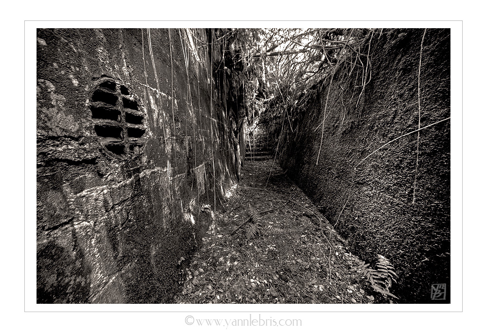 Photos de bunkers. Attention au tétanos - Page 2 369262bunks8
