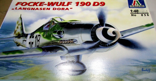 FW 190 D Italeri au 1/48 371220IMG1955