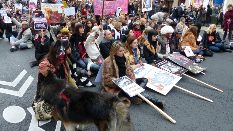 13 - Marche Contre La Fourrure - Paris 24 novembre 2012. 374499P1010097