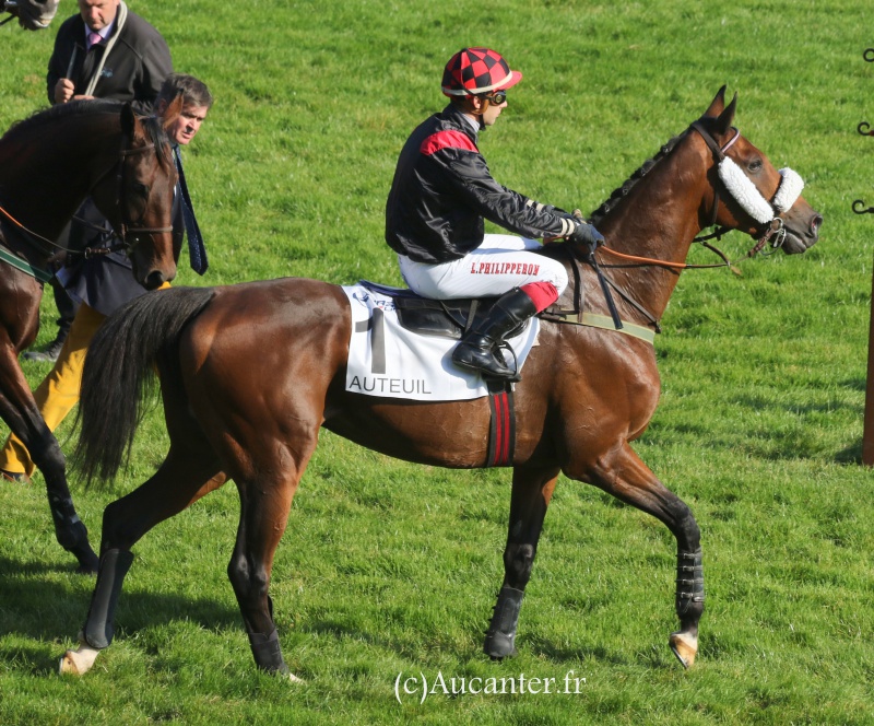 Photos Auteuil 9-10-2016 3807525J6A7763